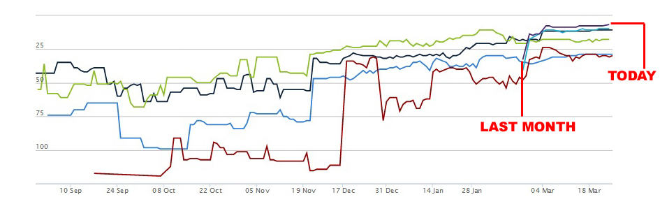 SEO Rankings